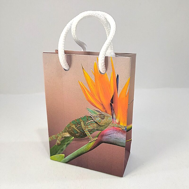 1024-Papierová taška-Chameleón,XS