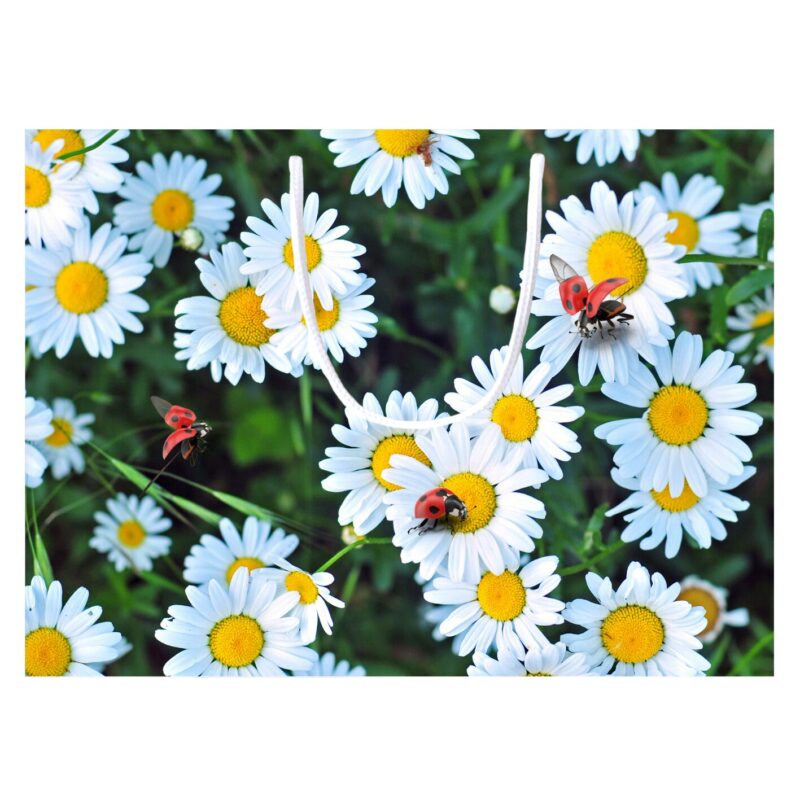 1014-Papierová taška - margaréty