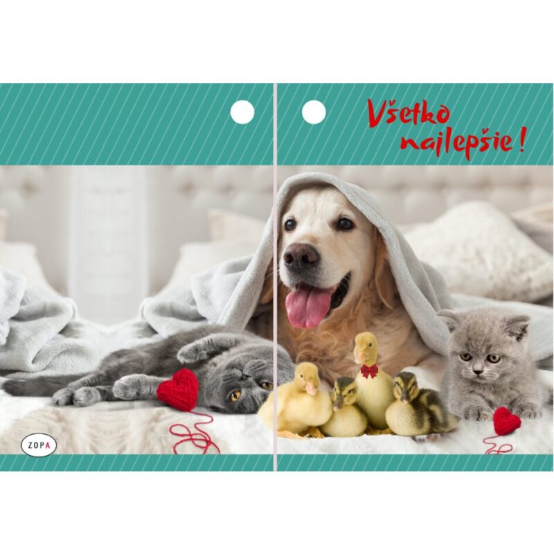 06. Visačka na darčeky