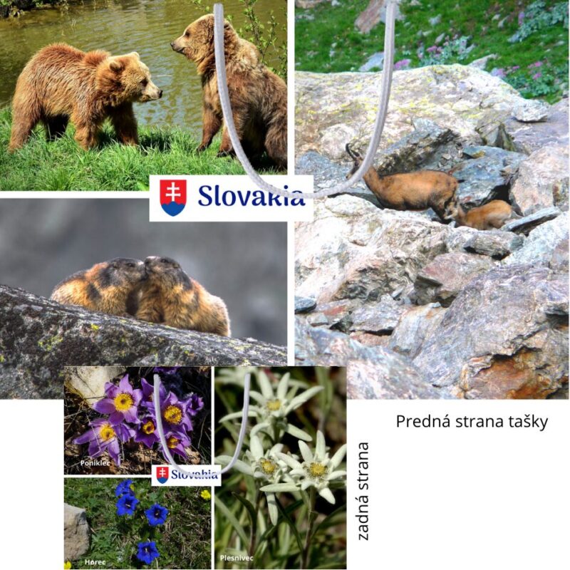 Slovakia 1, papierová taška